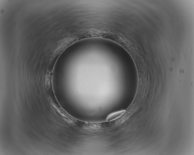 X0000086290768200703301136