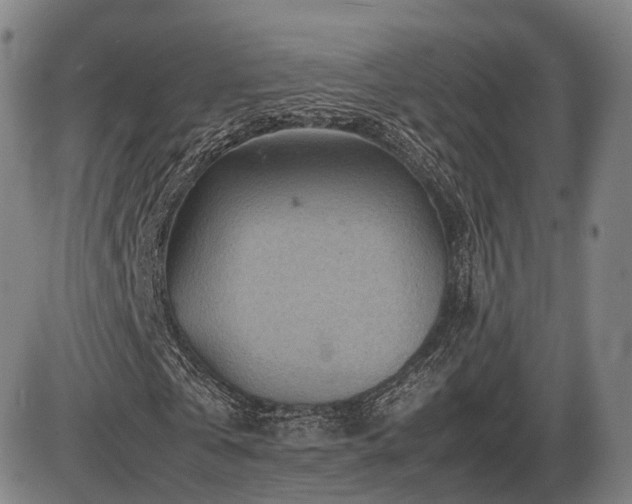 X0000086290769200703301135