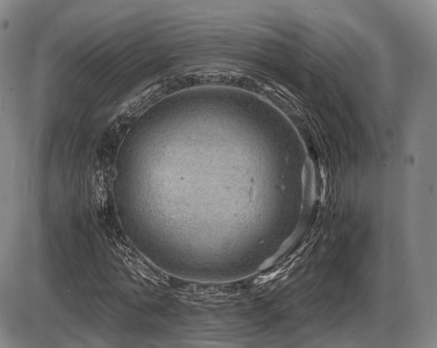 X0000086290774200703301135