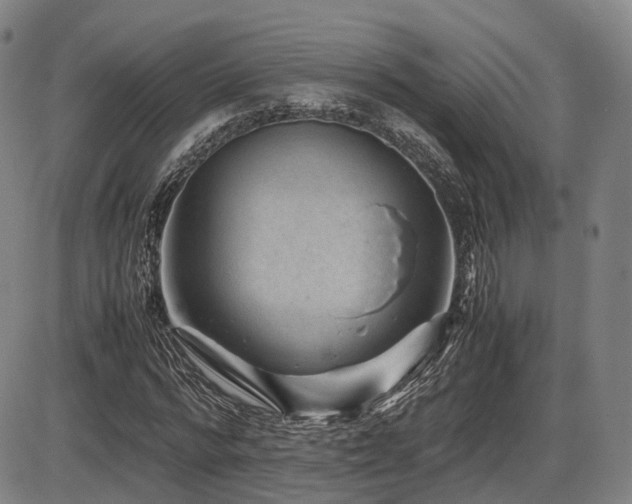 X0000086290776200703301135