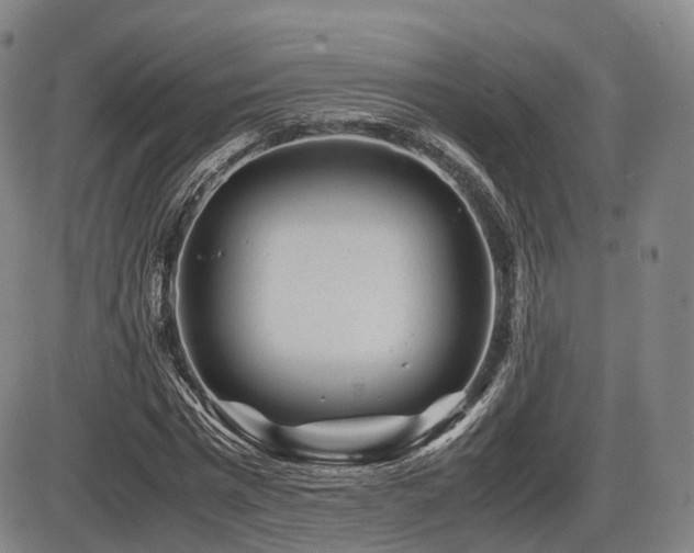 X0000086290777200703301135