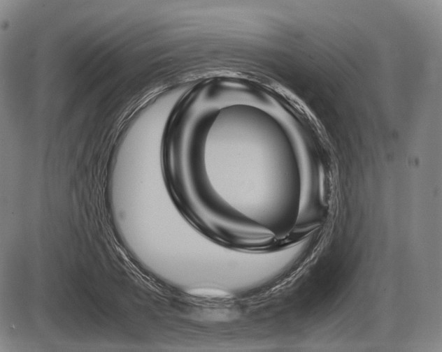 X0000086290785200703301135