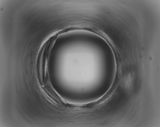 X0000086290787200703301135