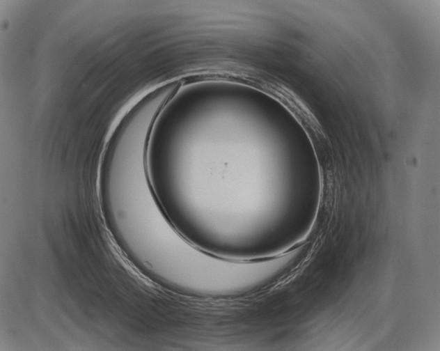 X0000086290788200703301135