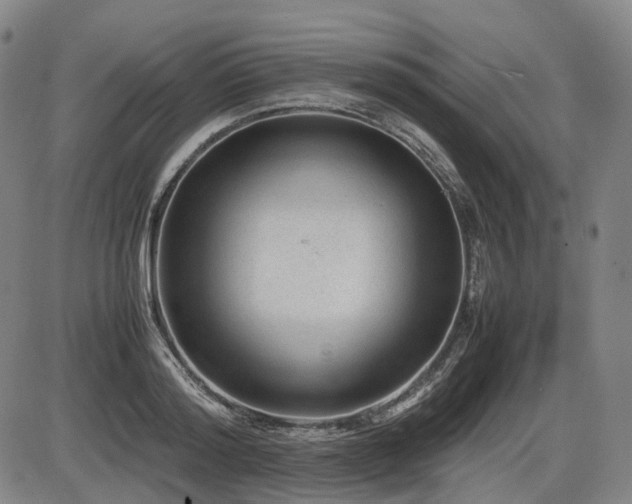 X0000086290796200703301134