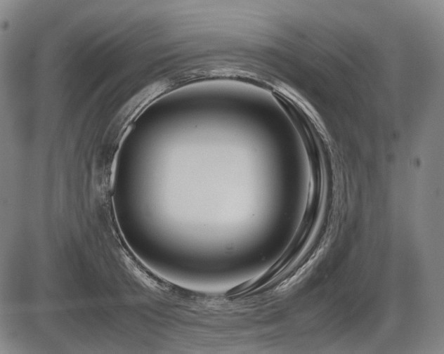 X0000086290801200703301134