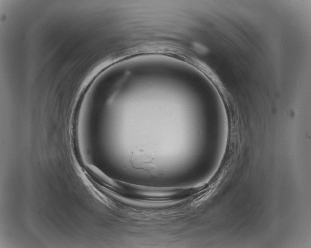 X0000086290803200703301134