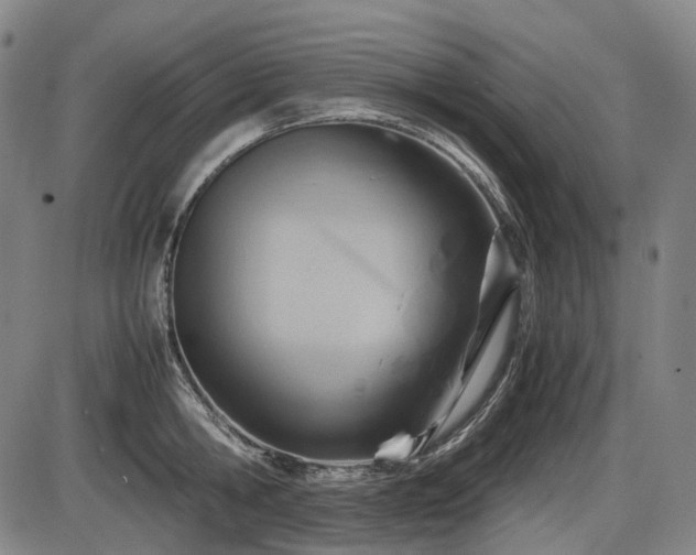 X0000086290806200703301134
