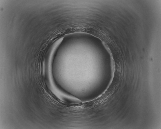 X0000086290818200703301133