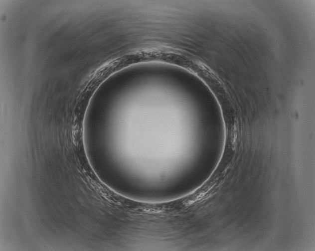 X0000086290822200703301133