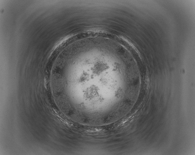 X0000086290823200703301133
