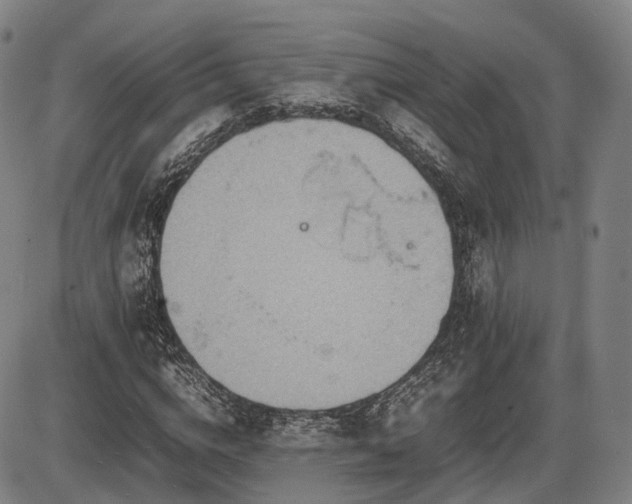 X0000086290824200703301133