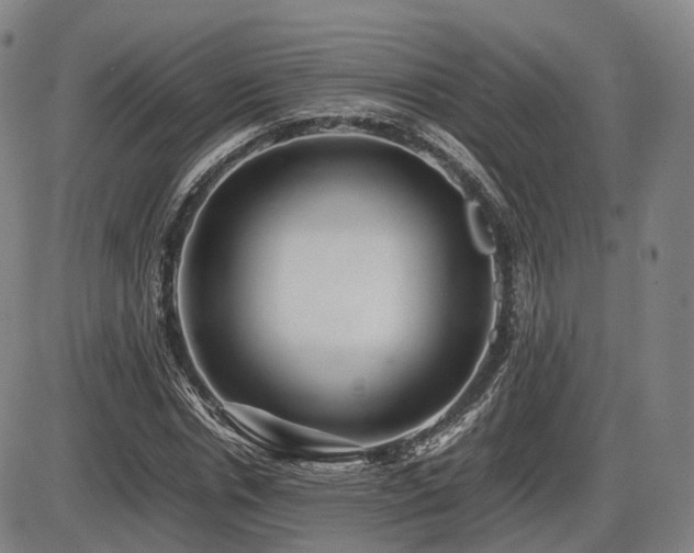 X0000086290826200703301133
