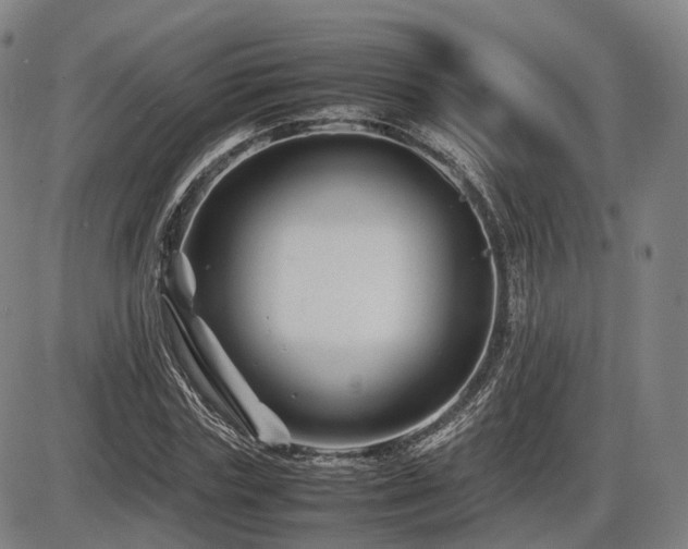 X0000086290827200703301133