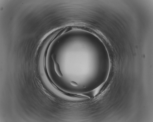 X0000086290830200703301133