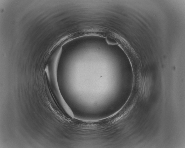 X0000086290833200703301134