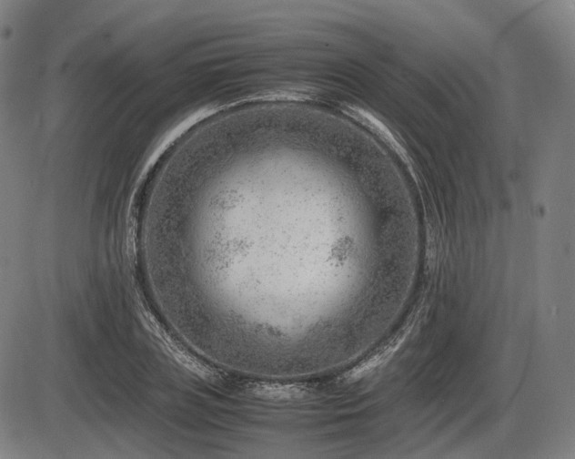 X0000086290835200703301134