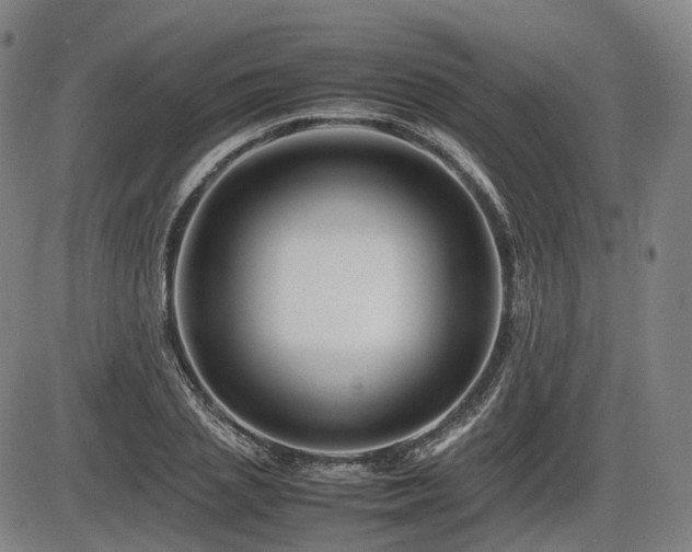 X0000086290837200703301134