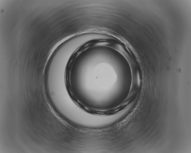 X0000086290838200703301134