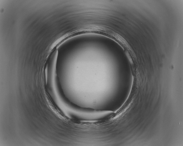 X0000086290842200703301134