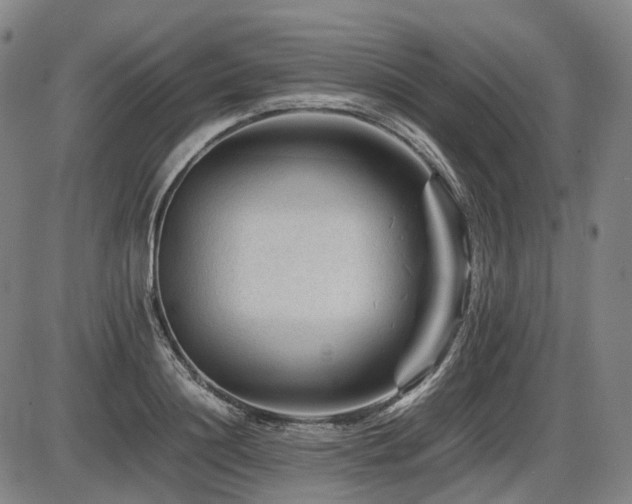 X0000086290844200703301134