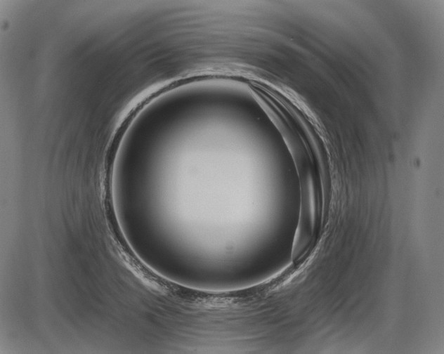 X0000086290846200703301134