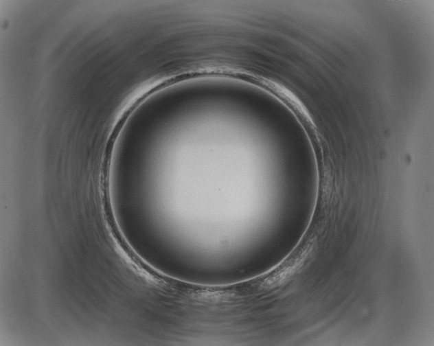X0000086290847200703301134