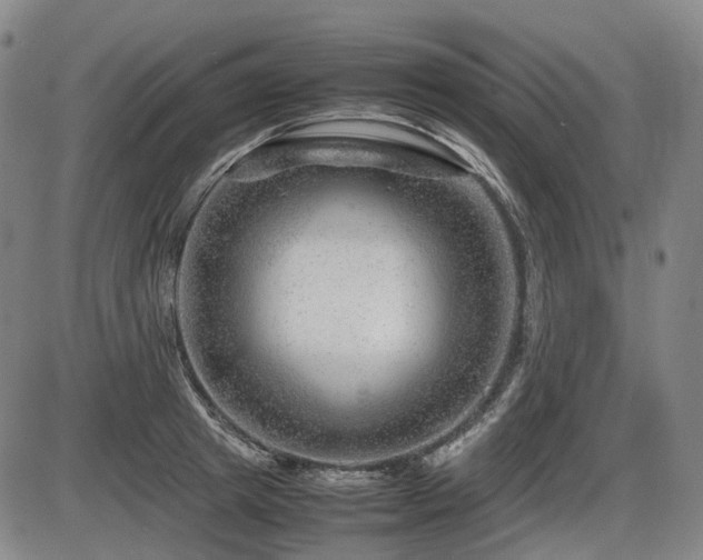 X0000086290849200703301134