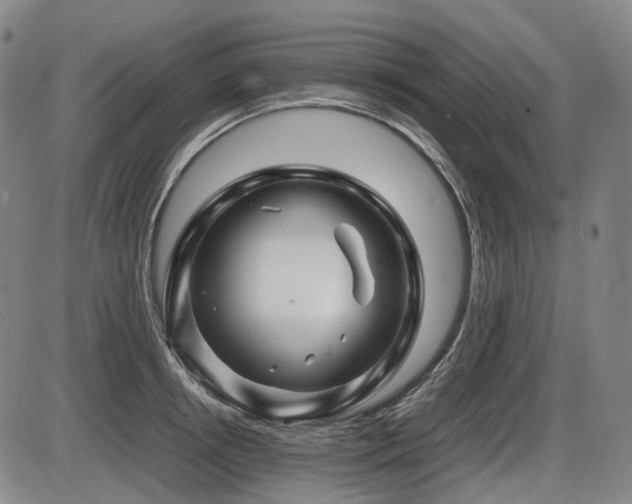 X0000086290850200703301134