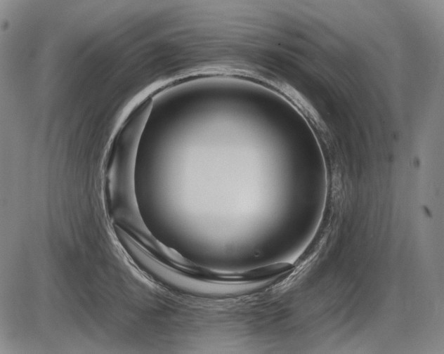 X0000086290854200703301134