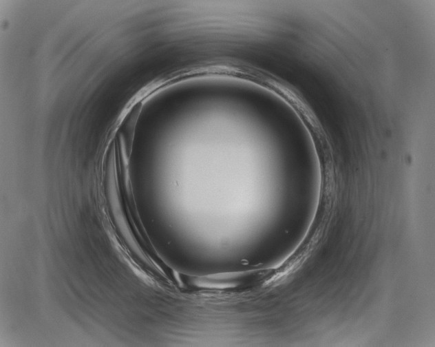 X0000086290858200703301134