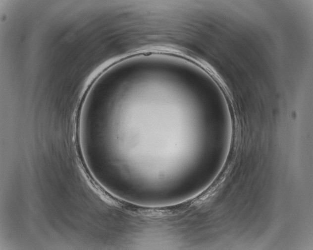 X0000086290862200703301134