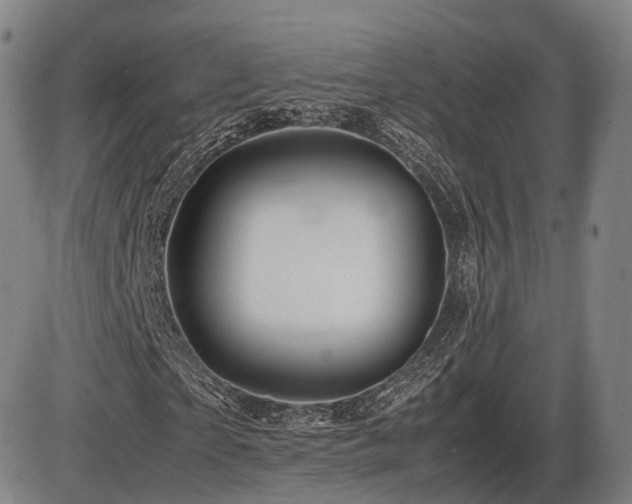 X0000086290865200703301133
