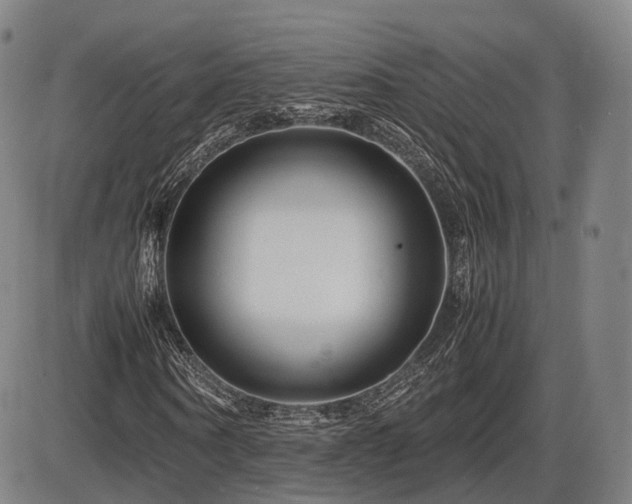 X0000086290866200703301133
