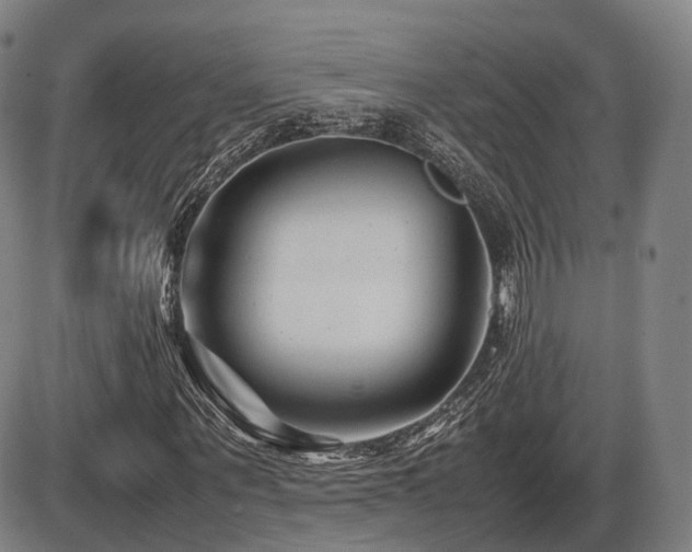X0000086290867200703301133
