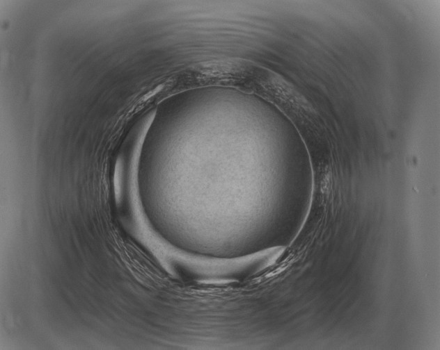 X0000086290868200703301133