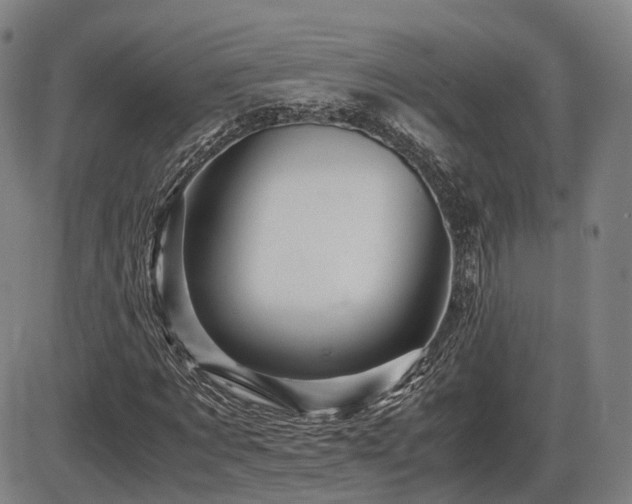 X0000086290869200703301133