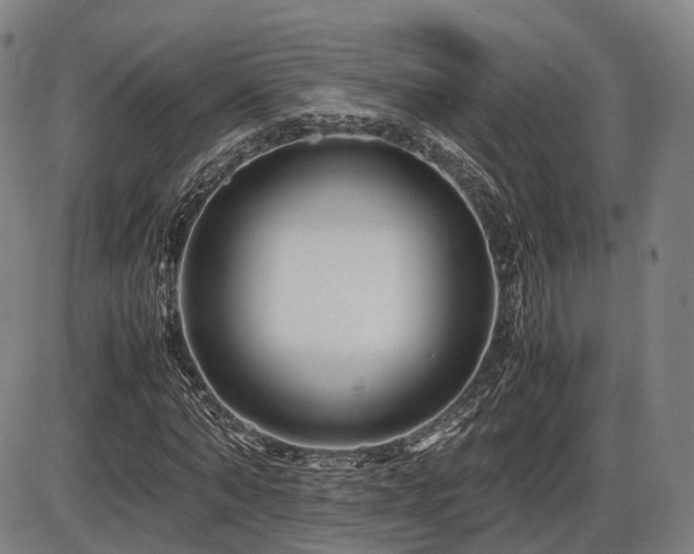 X0000086290870200703301133