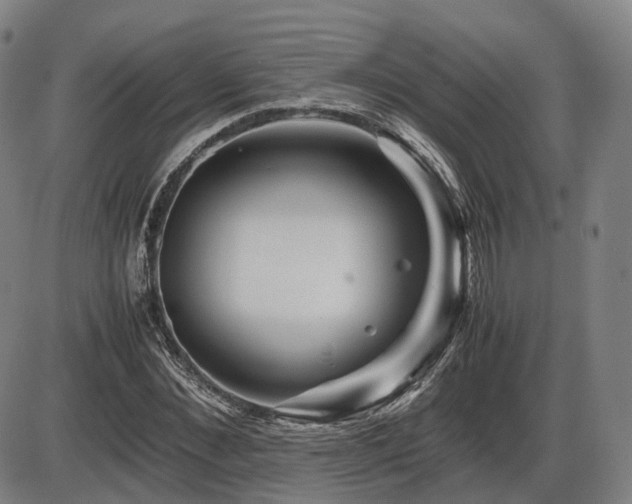 X0000086290876200703301133