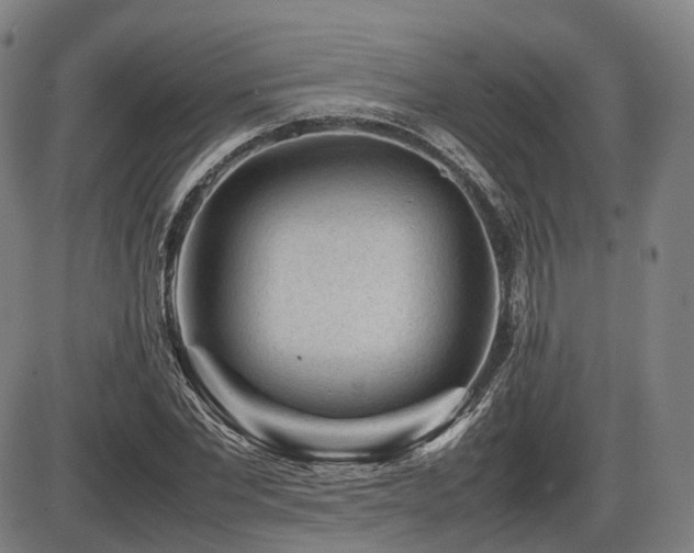 X0000086290877200703301133