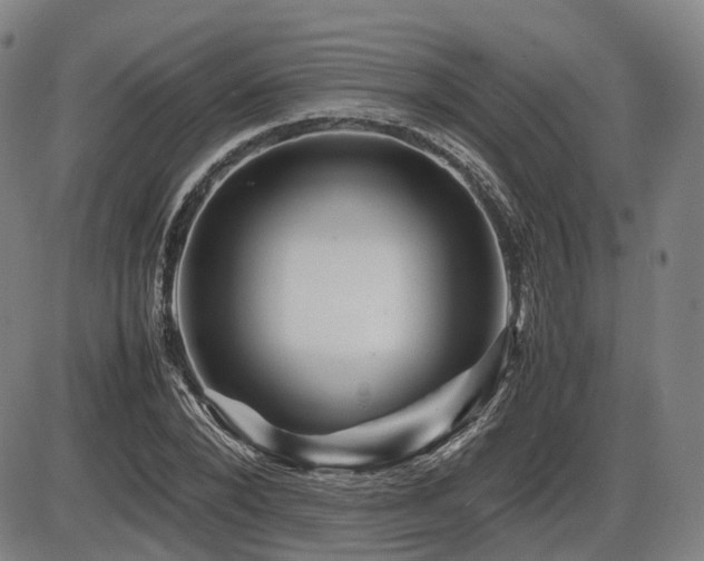 X0000086290880200703301133