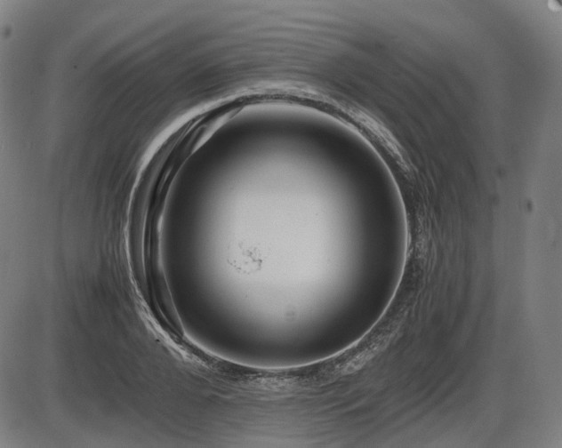 X0000086290888200703301133