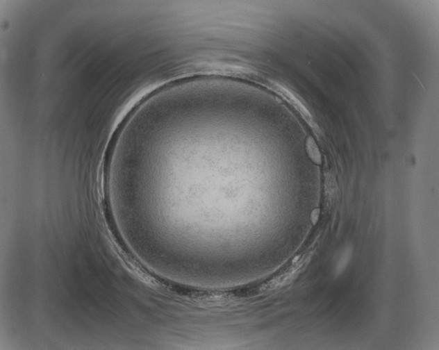 X0000086290891200703301133