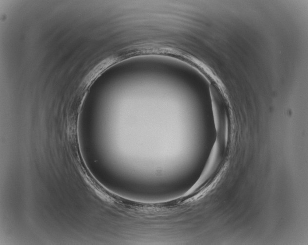 X0000086290897200703301133