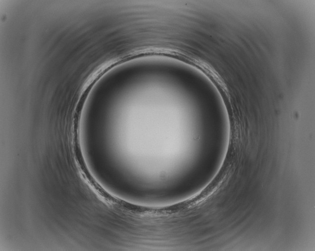 X0000086290898200703301133