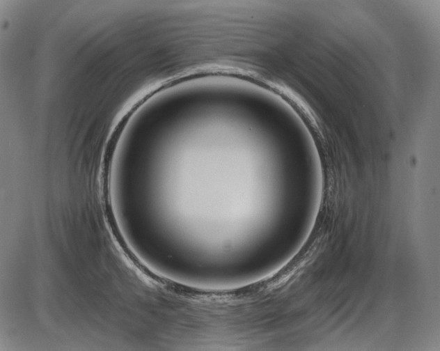 X0000086290902200703301133
