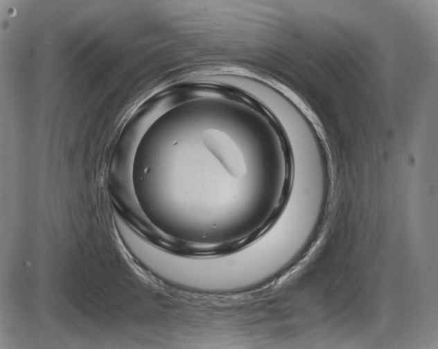 X0000086290905200703301133