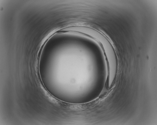 X0000086290909200703301133