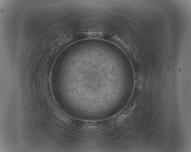 X0000086290913200703301132