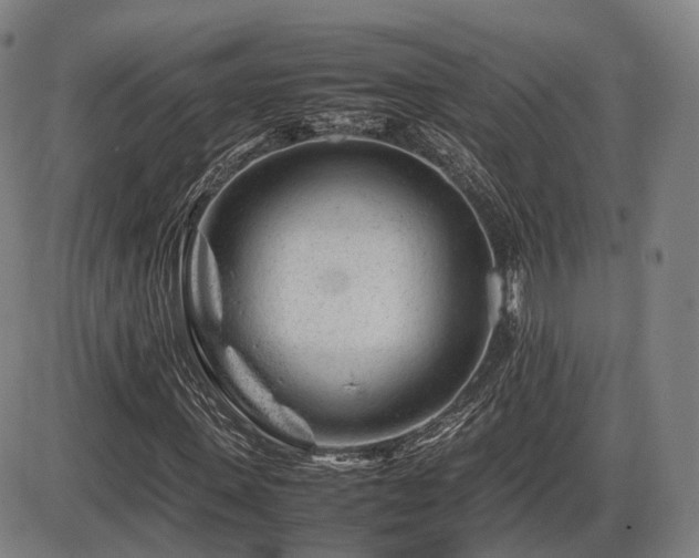 X0000086290915200703301132
